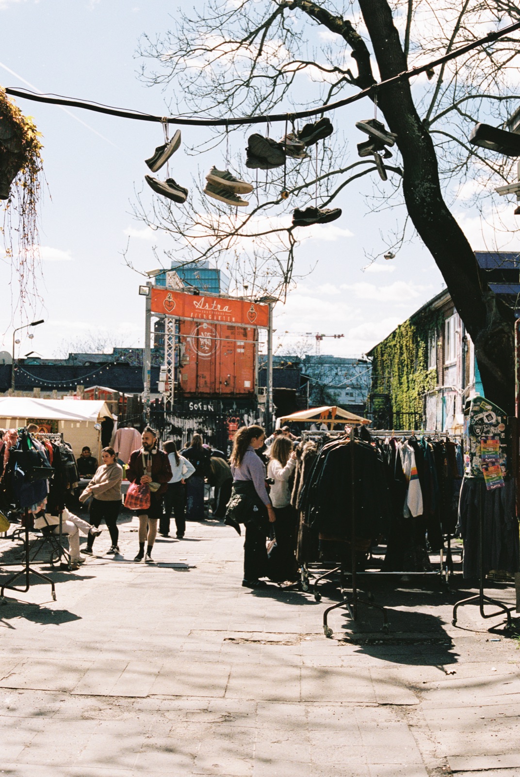 Atmosphäre auf einem Berliner Flohmarkt: warmes Tageslicht, dichte Stände, Schuhe im Baum.